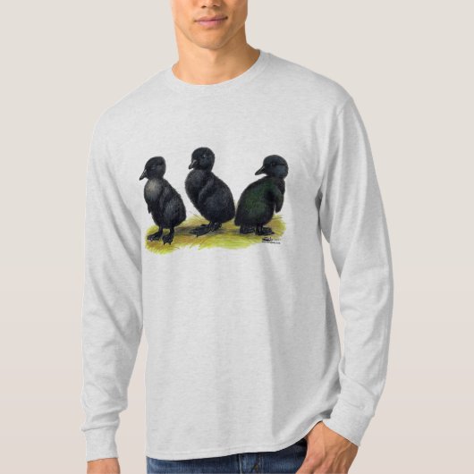 Ducklings Black Cayuga T-shirt (Voorkant)