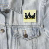 Ducklings Black Cayuga Vierkante Button 5,1 Cm (In situ)