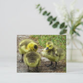 Ducklings Briefkaart (Staand voorkant)