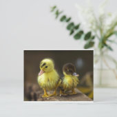 Ducklings Briefkaart (Staand voorkant)