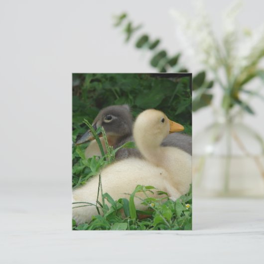 Ducklings Briefkaart (Staand voorkant)