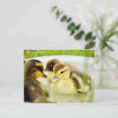 Ducklings Briefkaart (Staand voorkant)