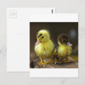 Ducklings Briefkaart (Voorkant / Achterkant)