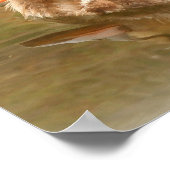 Ducklings Christelijk Poster (Hoek)