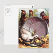 Ducklings en kippen briefkaart (Voorkant / Achterkant)