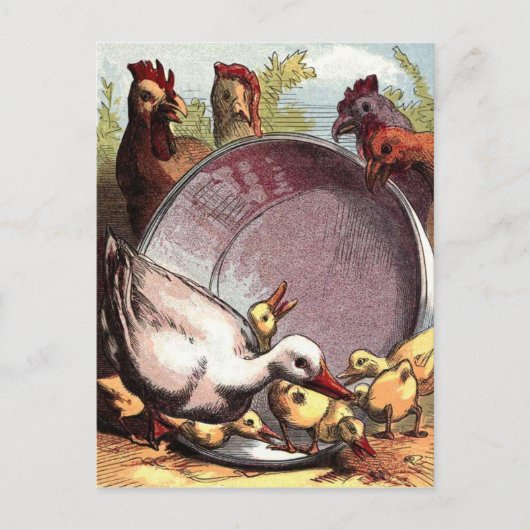 Ducklings en kippen briefkaart (Voorkant)