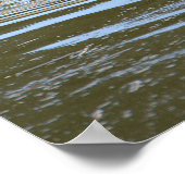 Ducklings Foto Poster (Hoek)