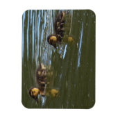 Ducklings-fotomagneet Magneet (Verticaal)