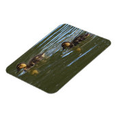 Ducklings-fotomagneet Magneet (Linkerzijde)