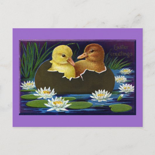 Ducklings in Eggshell Boat met waterlelies Briefkaart (Voorkant)