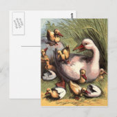 Ducklings Just Hatched Vintage Image Briefkaart (Voorkant / Achterkant)