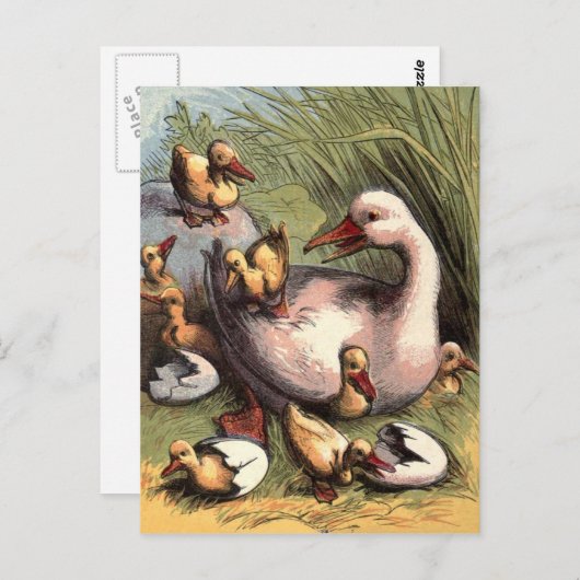 Ducklings Just Hatched Vintage Image Briefkaart (Voorkant / Achterkant)