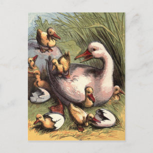 Ducklings Just Hatched Vintage Image Briefkaart