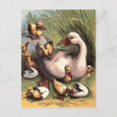 Ducklings Just Hatched Vintage Image Briefkaart (Voorkant)