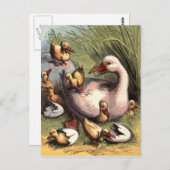Ducklings Just Hatched Vintage Image Briefkaart (Voorkant / Achterkant)