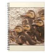 Ducklings-laptop Notitieboek (Voorkant)
