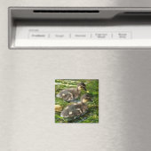Ducklings Magnet (Insitu (Vaatwasser))