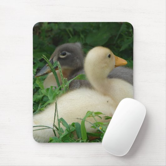 Ducklings Muismat (Met muis)