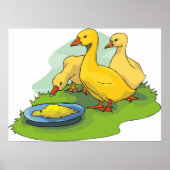 Ducklings Poster (Voorkant)