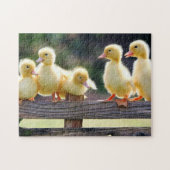 Ducklings Puzzle Legpuzzel (Horizontaal)