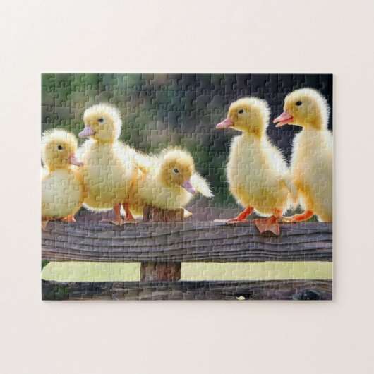 Ducklings Puzzle Legpuzzel (Horizontaal)