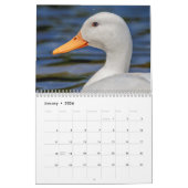Ducks 2026 kalender (Jan 2026)
