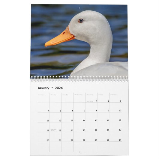 Ducks 2026 kalender (Jan 2026)