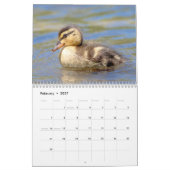 Ducks 2026 kalender (Feb 2027)