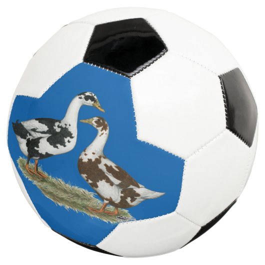 Ducks Ancona Pair Voetbal (Drie kwart)