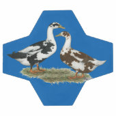 Ducks Ancona Pair Voetbal (Enkel)