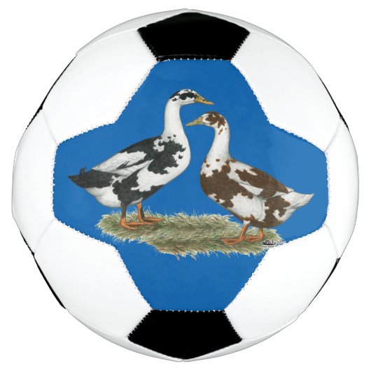 Ducks Ancona Pair Voetbal (Voorkant)