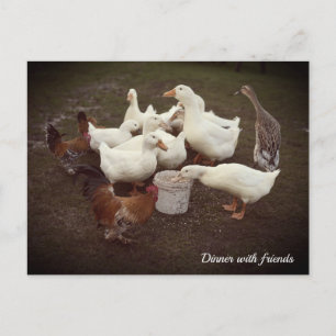 Ducks and Chickens Funny Dinner Time Briefkaart