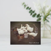 Ducks and Chickens Funny Dinner Time Briefkaart (Staand voorkant)