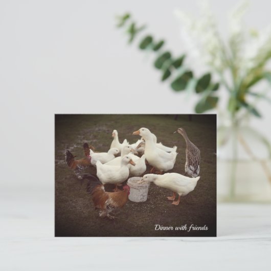 Ducks and Chickens Funny Dinner Time Briefkaart (Staand voorkant)