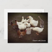 Ducks and Chickens Funny Dinner Time Briefkaart (Voorkant / Achterkant)