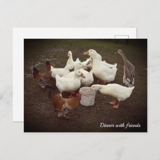 Ducks and Chickens Funny Dinner Time Briefkaart (Voorkant / Achterkant)