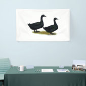 Ducks: Black Cayugas Spandoek (Beurs)