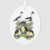 Ducks Black Pied Muscovy Family Ornament (voorkant)