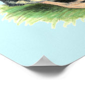 Ducks Black Pied Muscovy Family Poster (Hoek)