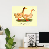 Ducks:  Buff Orpington Poster (Thuiskantoor)
