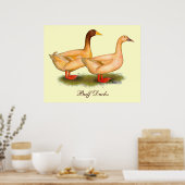 Ducks:  Buff Orpington Poster (Keuken)