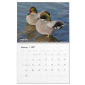 Ducks Calendar Kalender (Feb 2027)