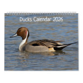 Ducks Calendar Kalender (Hoes)
