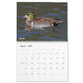 Ducks Calendar Kalender (Mar 2027)