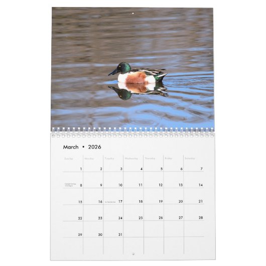 Ducks Calendar Kalender (Mar 2026)