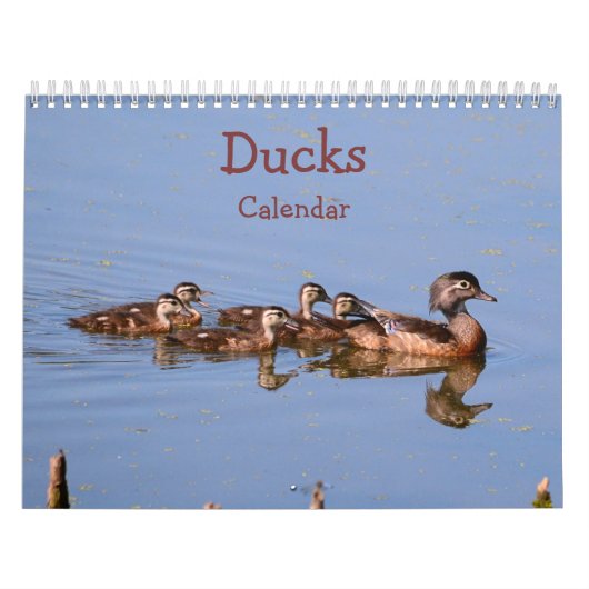 Ducks Calendar Kalender (Hoes)