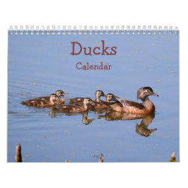 Ducks Calendar Kalender
