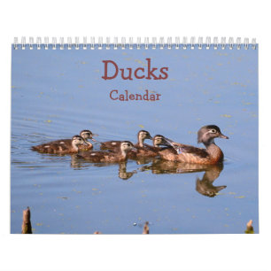 Ducks Calendar Kalender