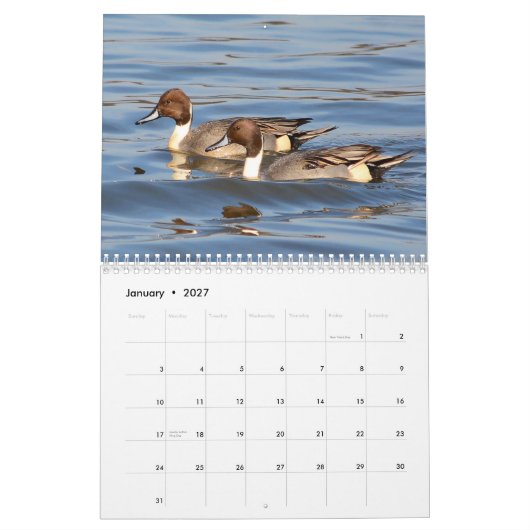 Ducks Calendar Kalender (Jan 2027)