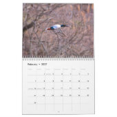 Ducks Calendar Kalender (Feb 2027)